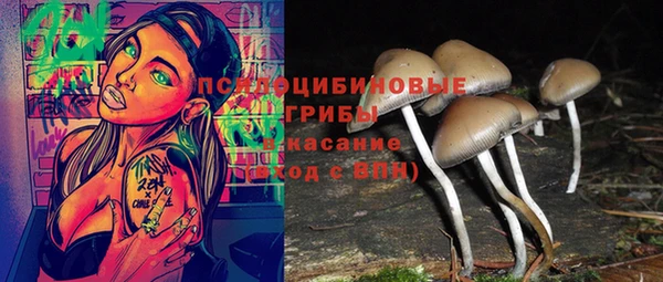 a pvp Заволжье