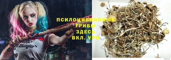 a pvp Заволжье